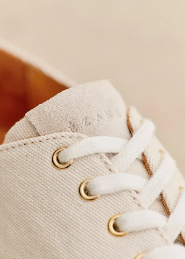 Matteo Baskets